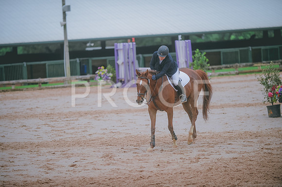000_3434 copy