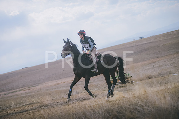 JJS_1556