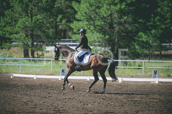 JJS_2953