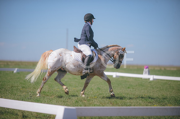 JJS_2582