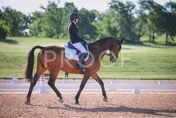 RWP_9281