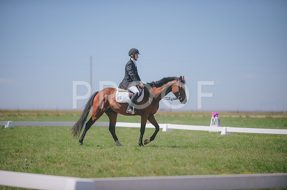 JJS_3274