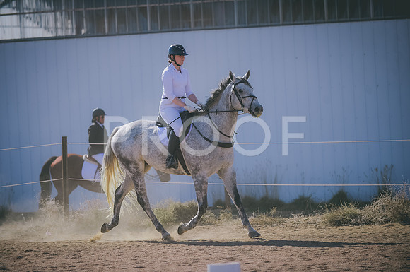 JJS_2588