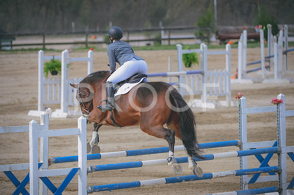 JJS_0334