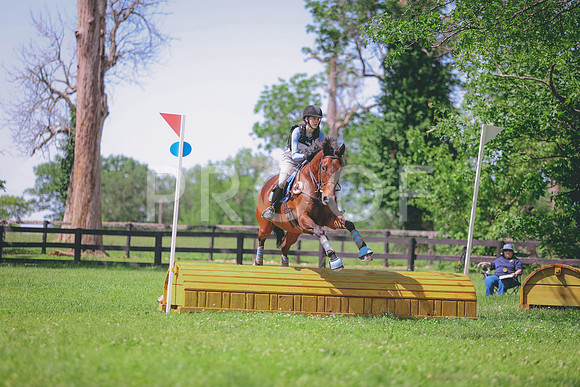 0N0A0736