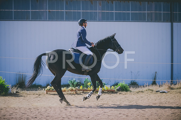 JJS_2915