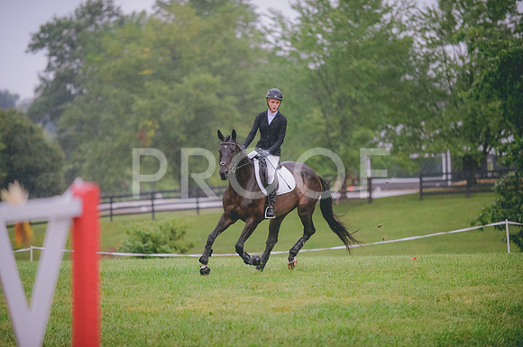 JJS_7772