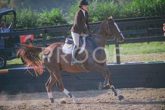 JJS_8645