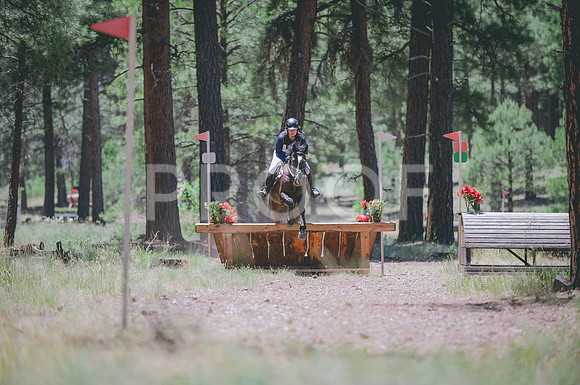 JJS_1537