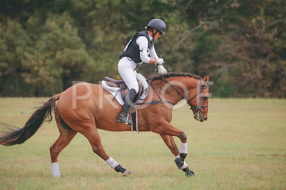 RWP_3674