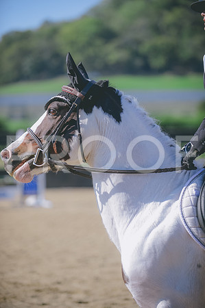 JJS_4375