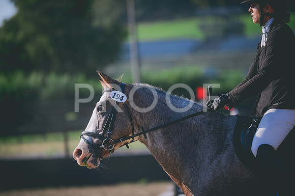 JJS_7930
