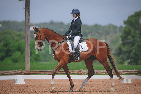 RWP_4431