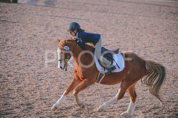 JJS_5197