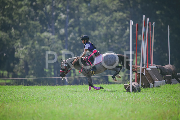 RWP_6422