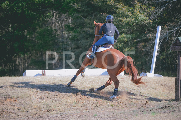 JJS_0782