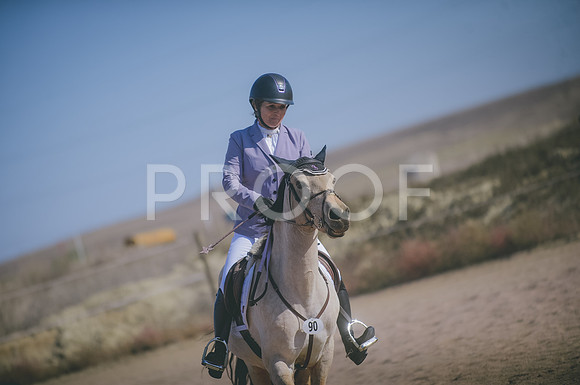 JJS_3576