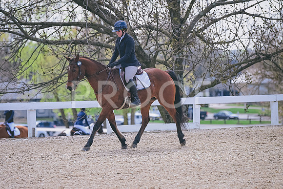 CRB_3667