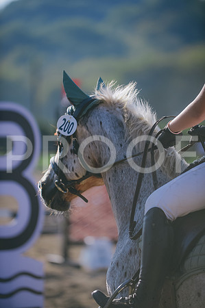 JJS_8163