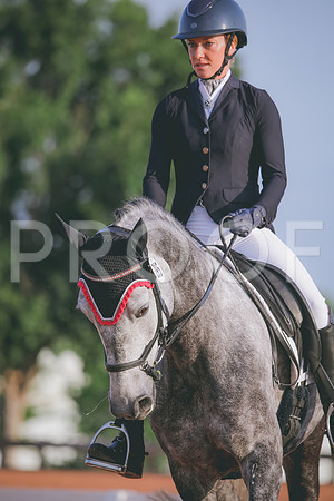 RWP_3637
