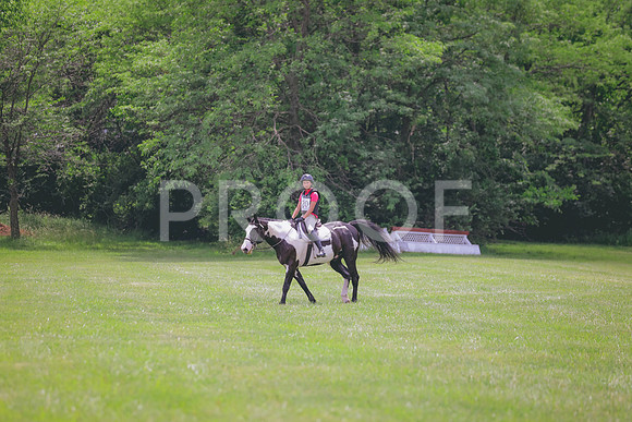 ABY_2015