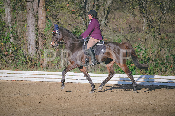 JJS_4626