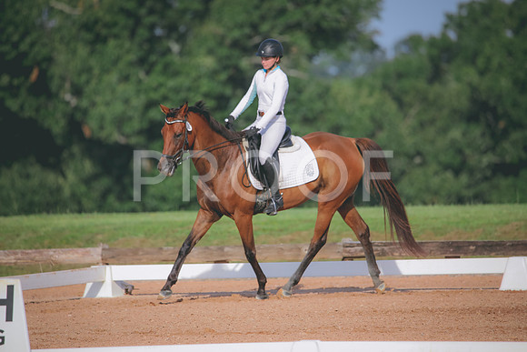 RWP_4458