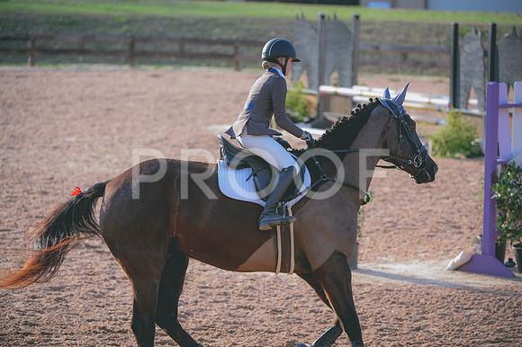 JJS_4187