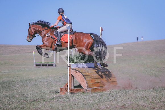 CDH_9833