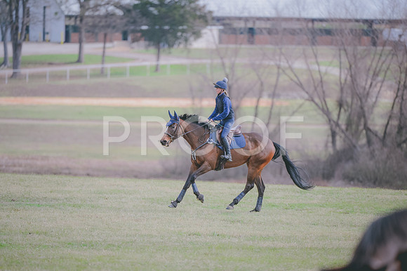 JJS_0564