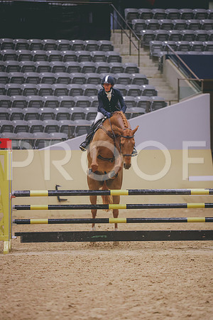 0N0A3983