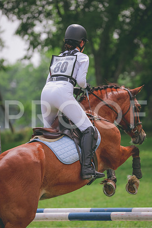 JC5_0658A