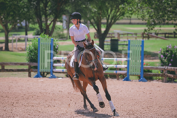 RWP_5344
