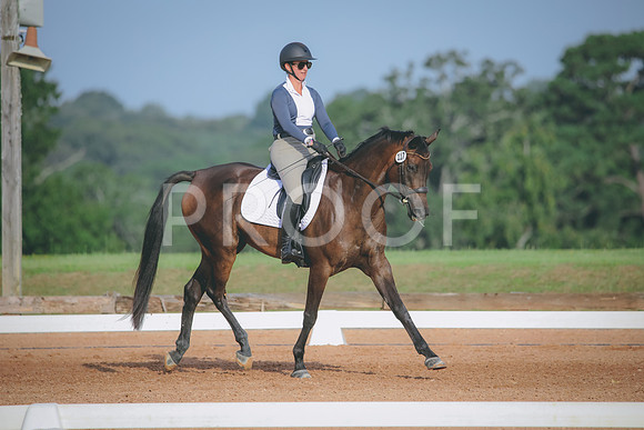 RWP_4403