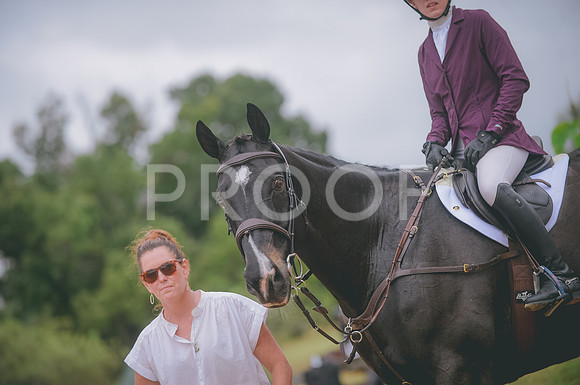 JJS_4890