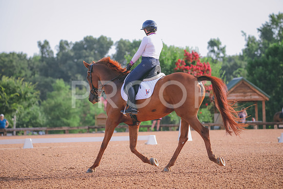RWP_4309