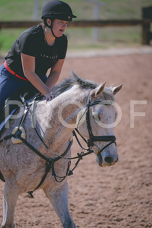 JJS_8035