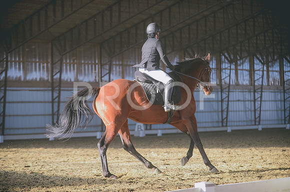 JJS_1907