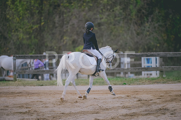 JJS_2895