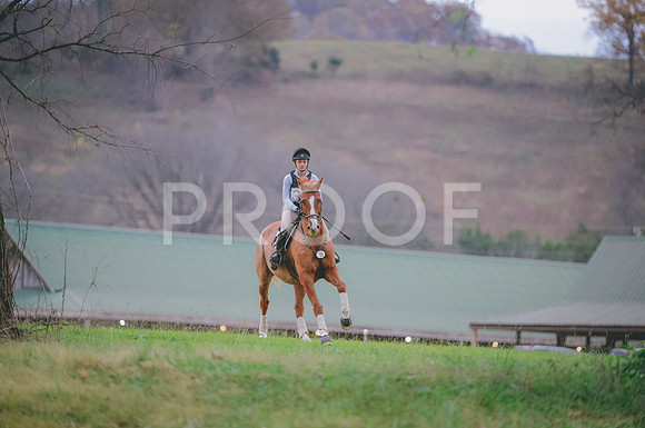 JJS_0962