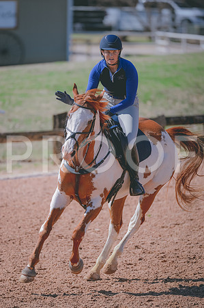 JJS_3768