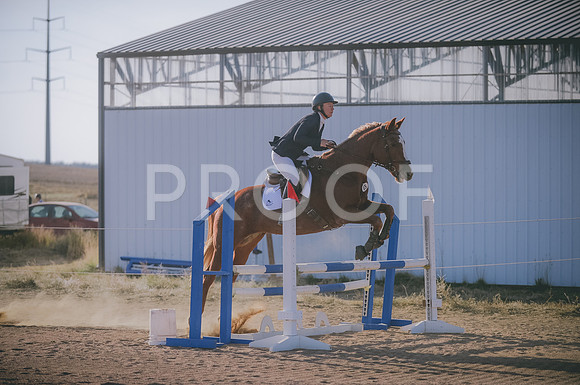 JJS_8341