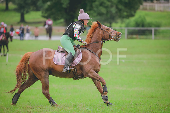 RWP_5410