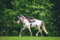RWP_4932