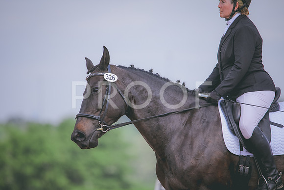 RWP_4118