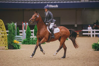 0N0A4356