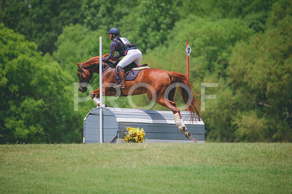 RWP_2943