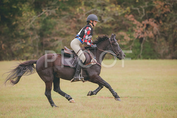 RWP_3698