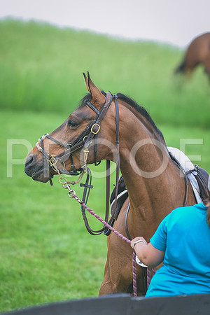 DSC_9555