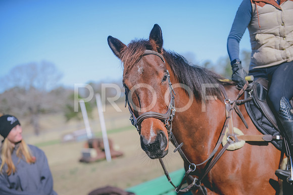 JJS_0344